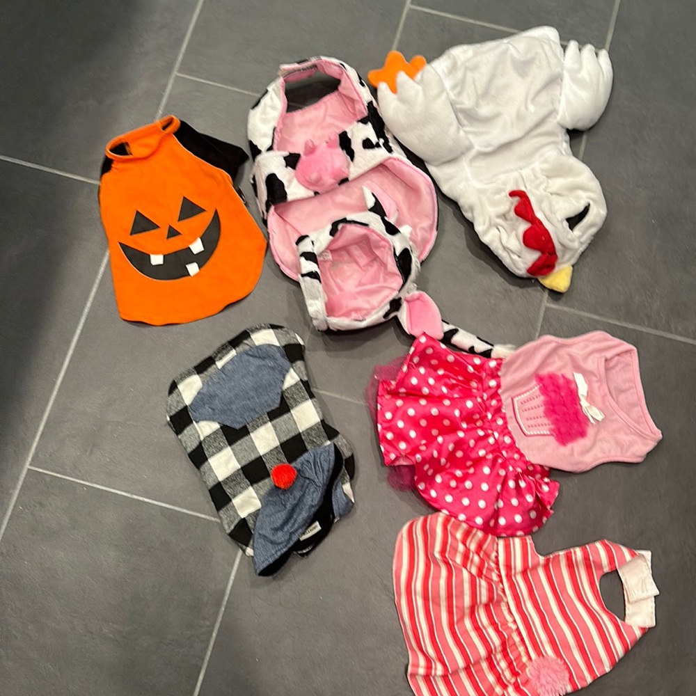 Doggie outfits